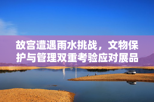 故宫遭遇雨水挑战，文物保护与管理双重考验应对展品疑被雨水打湿问题