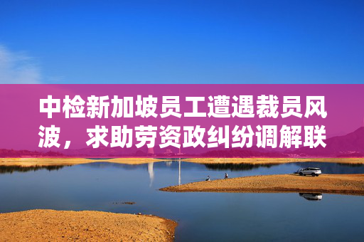 中检新加坡员工遭遇裁员风波，求助劳资政纠纷调解联盟解决困境