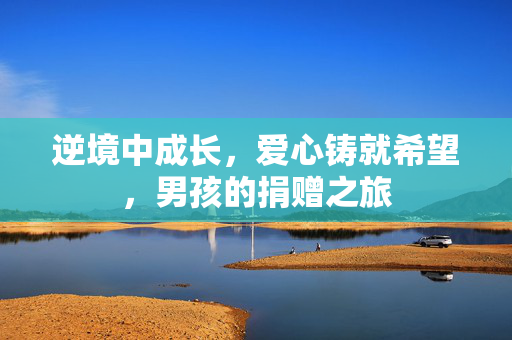 逆境中成长，爱心铸就希望，男孩的捐赠之旅