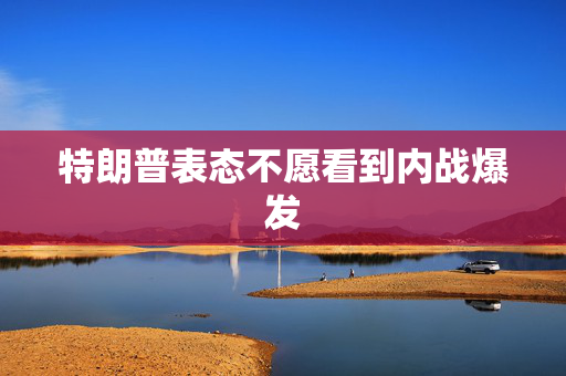 特朗普表态不愿看到内战爆发