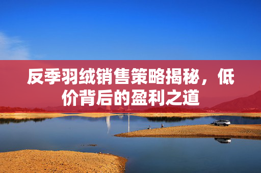 反季羽绒销售策略揭秘，低价背后的盈利之道