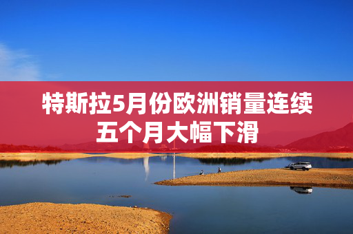 特斯拉5月份欧洲销量连续五个月大幅下滑