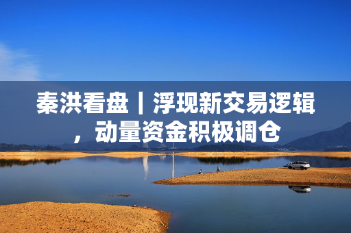 秦洪看盘｜浮现新交易逻辑，动量资金积极调仓