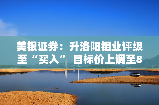 美银证券：升洛阳钼业评级至“买入” 目标价上调至8.5港元