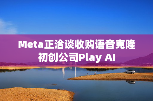 Meta正洽谈收购语音克隆初创公司Play AI