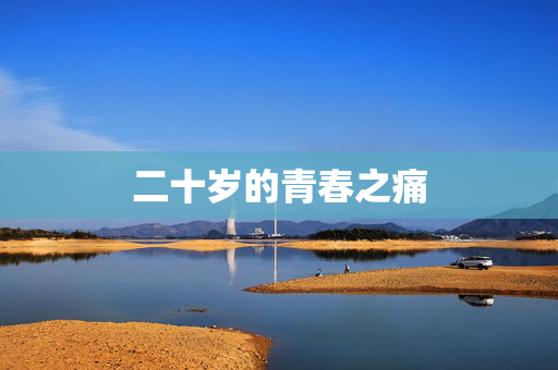 二十岁的青春之痛