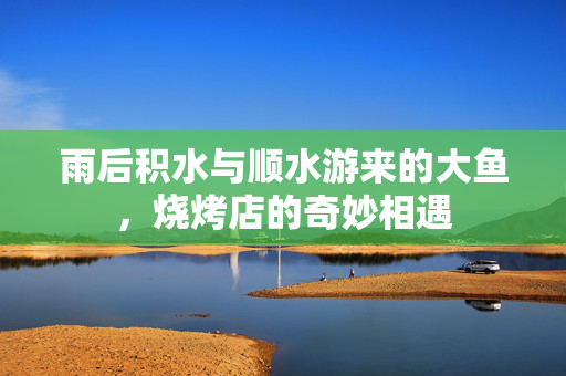 雨后积水与顺水游来的大鱼，烧烤店的奇妙相遇