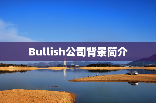 Bullish公司背景简介