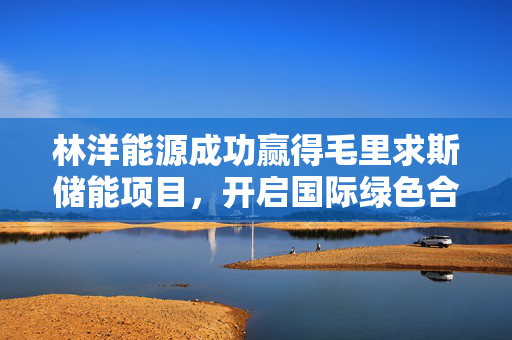林洋能源成功赢得毛里求斯储能项目，开启国际绿色合作新篇章