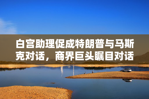 白宫助理促成特朗普与马斯克对话，商界巨头瞩目对话