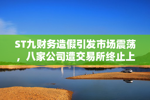ST九财务造假引发市场震荡，八家公司遭交易所终止上市决定标题建议，ST九财务造假曝光引发市场震荡，交易所五月终止八家公司上市决定
