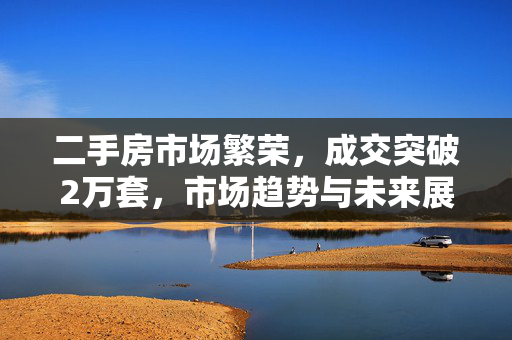 二手房市场繁荣，成交突破2万套，市场趋势与未来展望揭秘