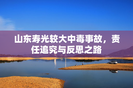 山东寿光较大中毒事故，责任追究与反思之路