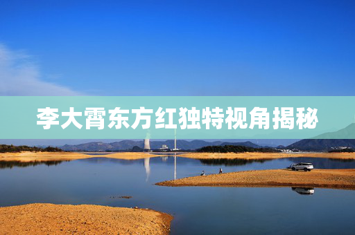 李大霄东方红独特视角揭秘
