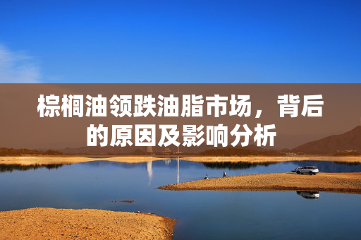 棕榈油领跌油脂市场，背后的原因及影响分析