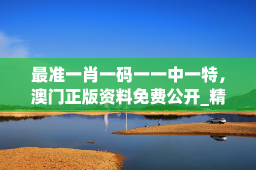 最准一肖一码一一中一特，澳门正版资料免费公开_精选作答解释落实_实用版073.563