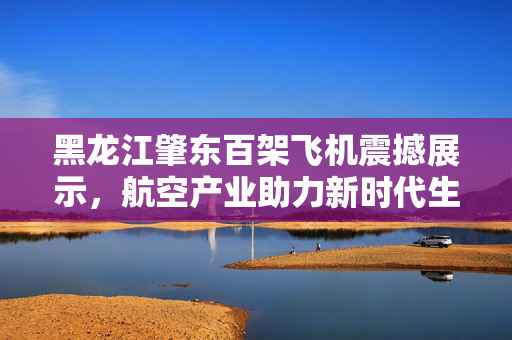 黑龙江肇东百架飞机震撼展示，航空产业助力新时代生产生活飞跃发展