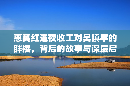 惠英红连夜收工对吴镇宇的胖揍，背后的故事与深层启示