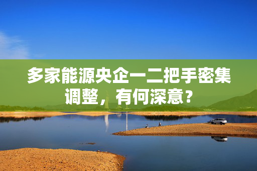多家能源央企一二把手密集调整，有何深意？