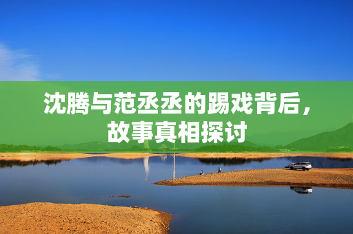 沈腾与范丞丞的踢戏背后，故事真相探讨
