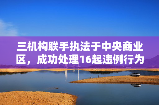 三机构联手执法于中央商业区，成功处理16起违例行为事件