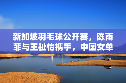 新加坡羽毛球公开赛，陈雨菲与王祉怡携手，中国女单包揽决赛胜利