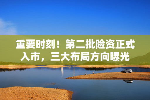 重要时刻！第二批险资正式入市，三大布局方向曝光