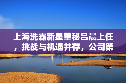 上海洗霸新星董秘吕晨上任，挑战与机遇并存，公司第一季度净利润大幅下滑如何应对？