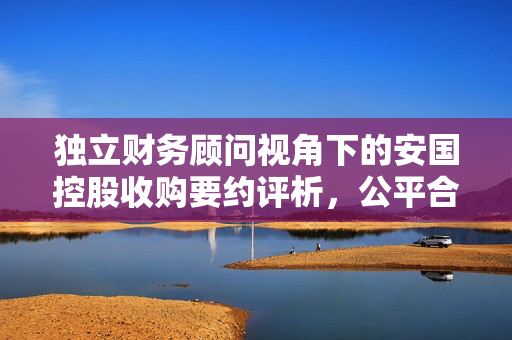 独立财务顾问视角下的安国控股收购要约评析，公平合理性探讨