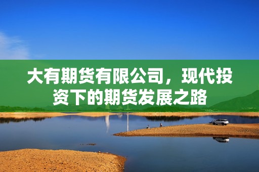 大有期货有限公司，现代投资下的期货发展之路