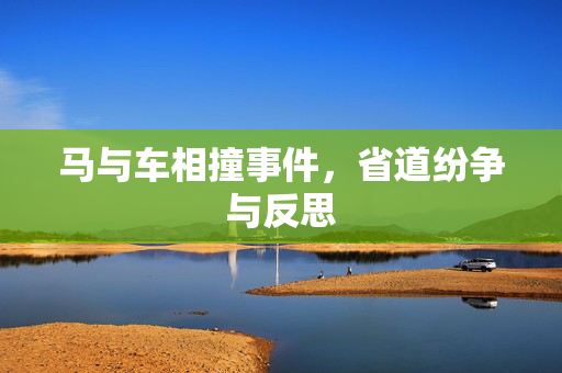 马与车相撞事件，省道纷争与反思