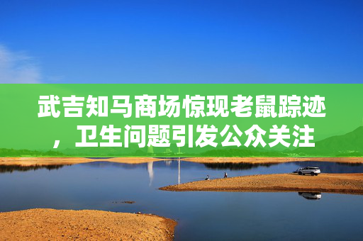 武吉知马商场惊现老鼠踪迹，卫生问题引发公众关注