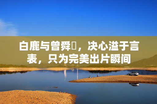 白鹿与曾舜晞，决心溢于言表，只为完美出片瞬间