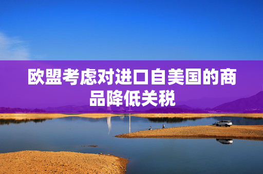 欧盟考虑对进口自美国的商品降低关税