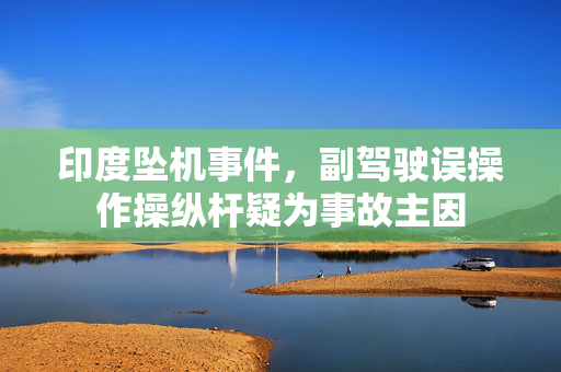 印度坠机事件，副驾驶误操作操纵杆疑为事故主因