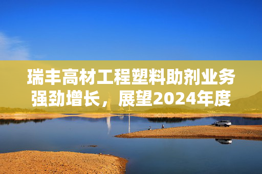 瑞丰高材工程塑料助剂业务强劲增长，展望2024年度收入实现1.07亿元，同比增长超2倍势头强劲势头展望
