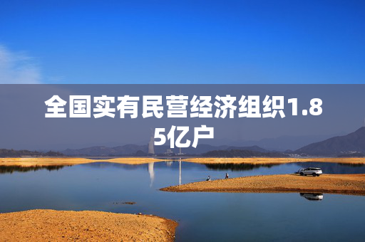全国实有民营经济组织1.85亿户