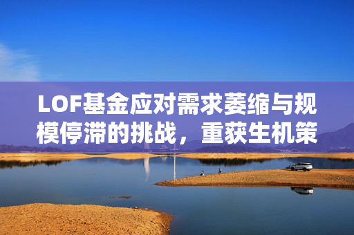 LOF基金应对需求萎缩与规模停滞的挑战，重获生机策略