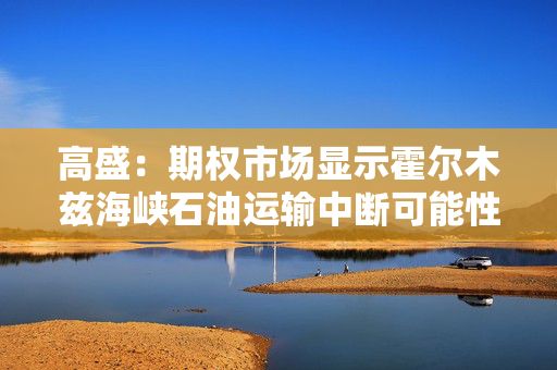 高盛：期权市场显示霍尔木兹海峡石油运输中断可能性很小