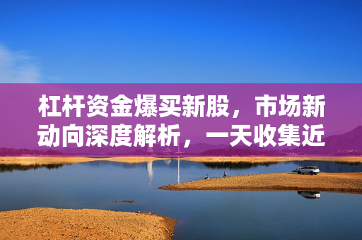 杠杆资金爆买新股，市场新动向深度解析，一天收集近9%筹码