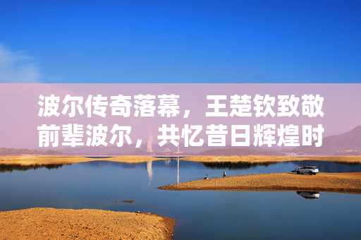 波尔传奇落幕，王楚钦致敬前辈波尔，共忆昔日辉煌时刻