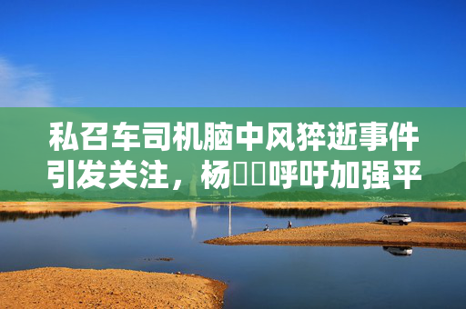 私召车司机脑中风猝逝事件引发关注，杨涴淩呼吁加强平台人员健康保障措施