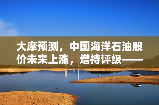 大摩预测，中国海洋石油股价未来上涨，增持评级——深度解析与未来展望