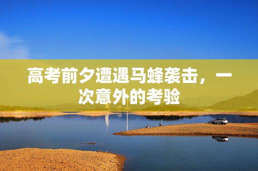 高考前夕遭遇马蜂袭击，一次意外的考验