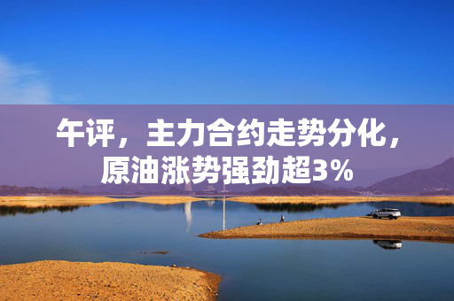 午评，主力合约走势分化，原油涨势强劲超3%