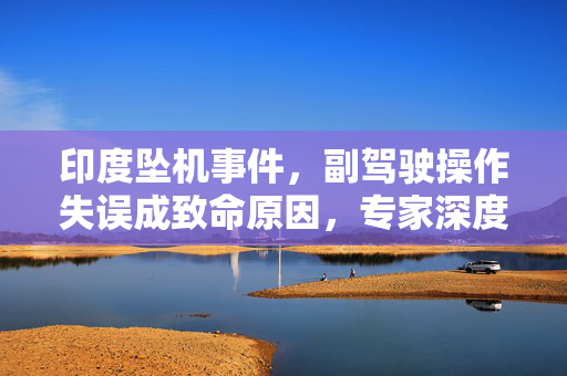 印度坠机事件，副驾驶操作失误成致命原因，专家深度解析失误背后真相