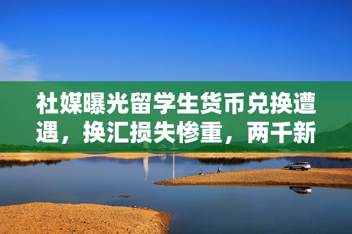 社媒曝光留学生货币兑换遭遇，换汇损失惨重，两千新元仅得百元回应
