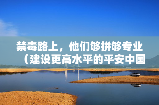 禁毒路上，他们够拼够专业（建设更高水平的平安中国）