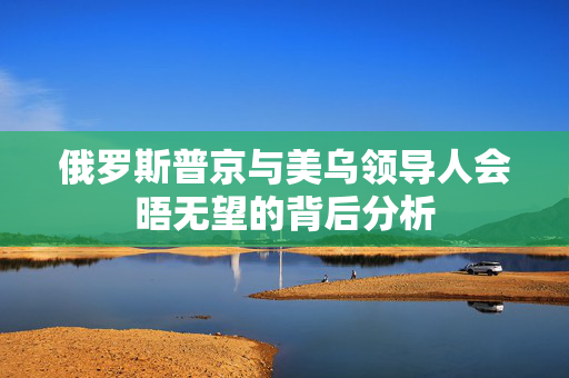 俄罗斯普京与美乌领导人会晤无望的背后分析