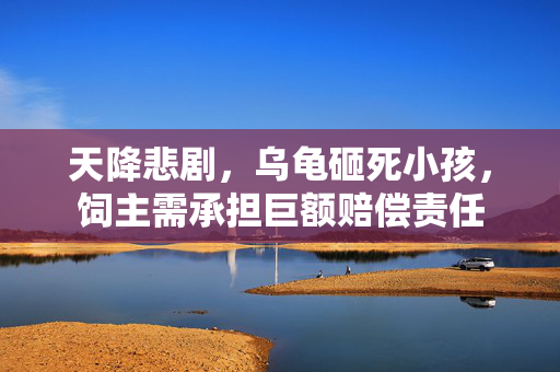 天降悲剧，乌龟砸死小孩，饲主需承担巨额赔偿责任